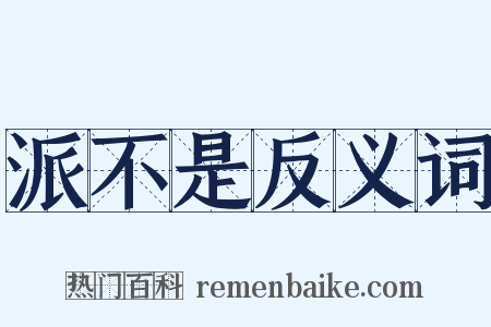 派不是反义词是什么意思的图片